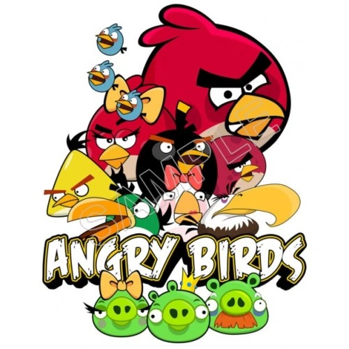  Angry Birds T Shirt Iron on Transfer Decal #69 by www.shopironons.com