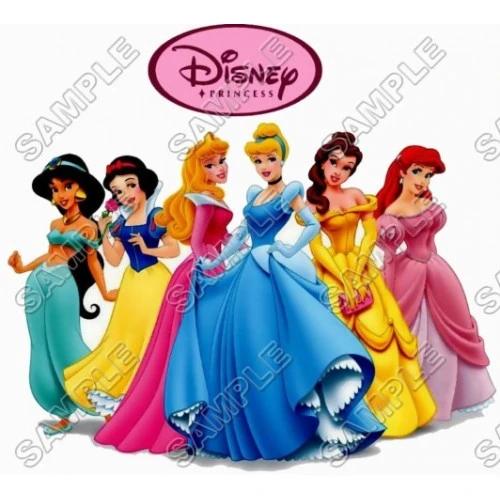  Disney Princess T Shirt Iron on Transfer Decal #17 by www.shopironons.com