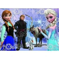 Frozen Elsa Anna Olaf  T Shirt Iron on Transfer  Decal  #78