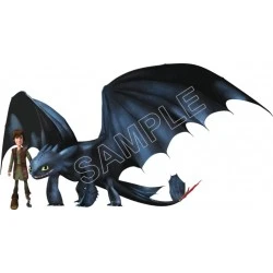 How to Train  Your  Dragon  T Shirt Iron on Transfer Decal #6