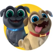 Bingo and Rolly of Puppy Dog Pals 
