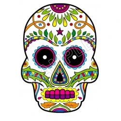 Mexican Sugar Skull T Shirt Iron on Transfer Decal #27