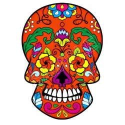Mexican Sugar Skull  T Shirt Iron on Transfer  Decal  #28