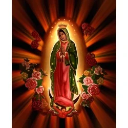 Our Lady of Guadalupe T Shirt Iron on Transfer Decal #2