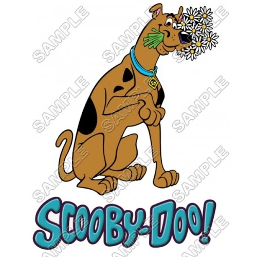  Scooby-Doo T Shirt Iron on Transfer Decal #6 by www.shopironons.com