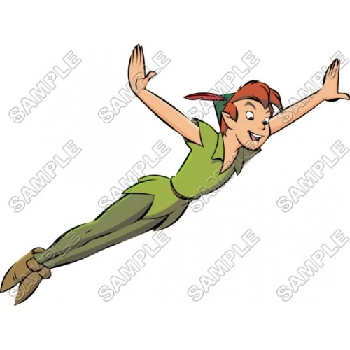  Tinkerbell Peter Pan T Shirt Iron on Transfer Decal #4 by www.shopironons.com