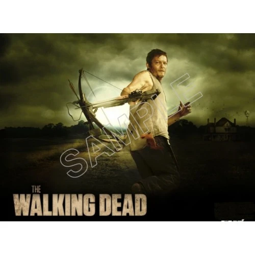  Walking Dead Daryl Dixon  T Shirt Iron on Transfer Decal #2 by www.shopironons.com
