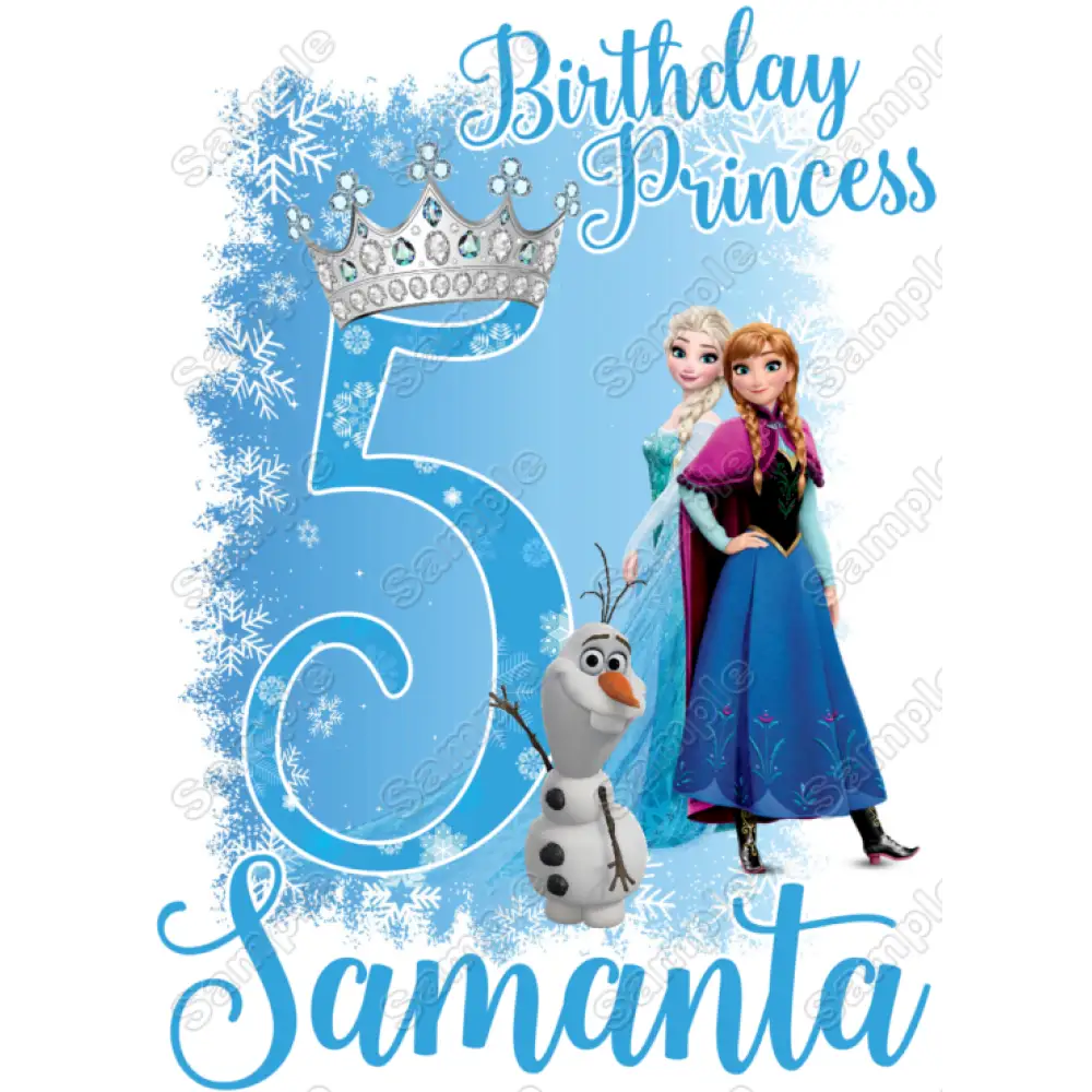 Frozen Anna Elsa Birthday T Shirt Iron on Transfer Decal by www