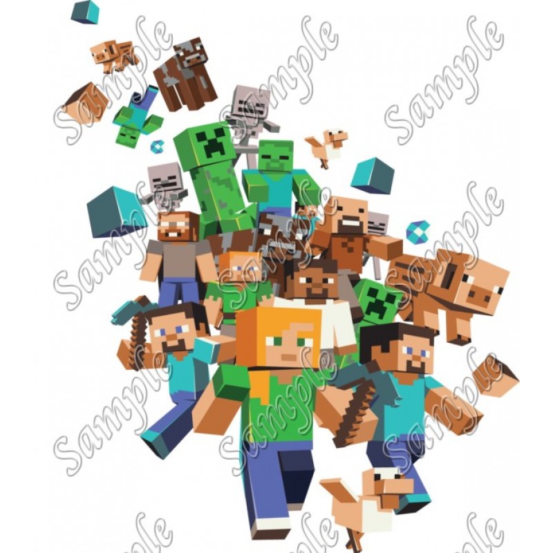 Minecraft T Shirt Iron on Transfer Decal 14