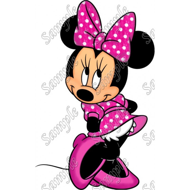 Minnie Mouse Pink Dress T Shirt Iron on Transfer Decal 5