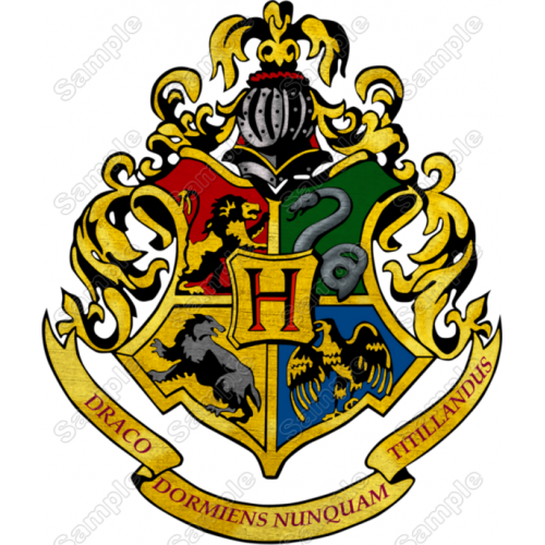 Harry Potter  Hogwarts  T Shirt Iron on Transfer Decal #2  by www.shopironons.com