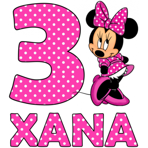  Minnie Mouse Pink  Birthday   Personalized   T Shirt Iron on Transfer #17 by www.shopironons.com