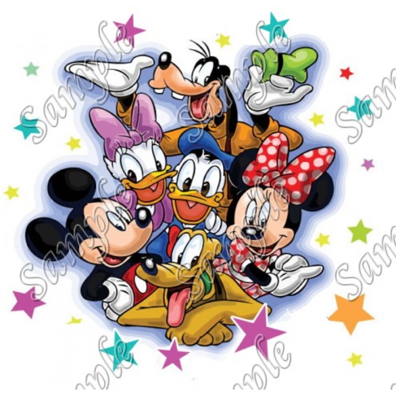 DISNEY FAMILY VACATION MINNIE MOUSE PERSONALIZED FABRIC/T-SHIRT IRON ON TRANSFER 